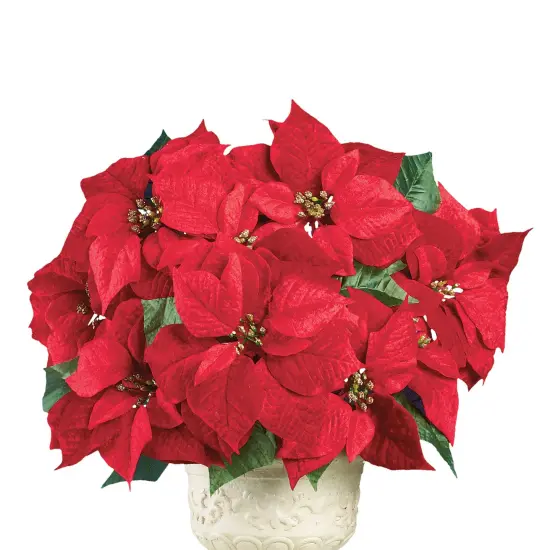 Collections Etc Bright Red Decorative Velvet Poinsettia Bushes - Set of 3 {2}