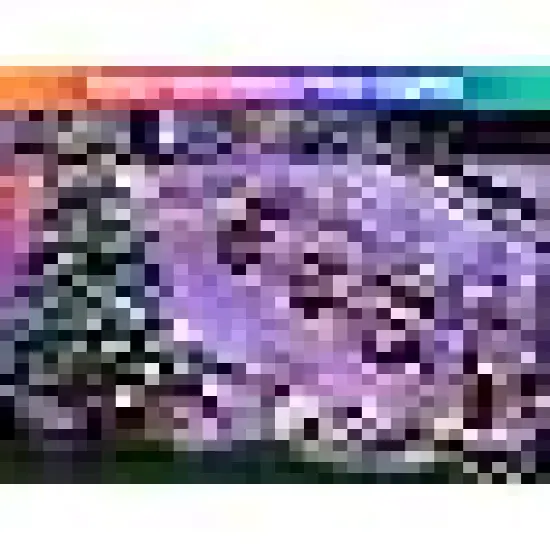 Solar Christmas Fairy Lights Outside {4}