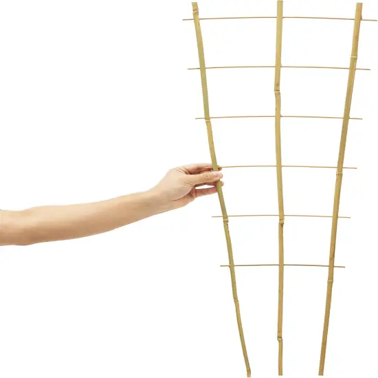 10 Pack 3 Feet Natural Bamboo Trellis {4}