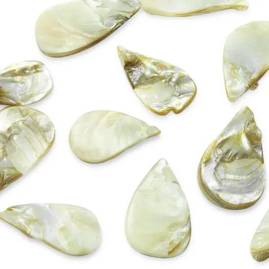 6 Packs of Tinted Shell Fan Natural 2/8" Strand {1}