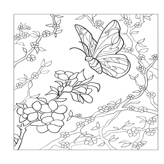 Creative Haven: Beautiful Butterfly Coloring Book-Softcover {5}