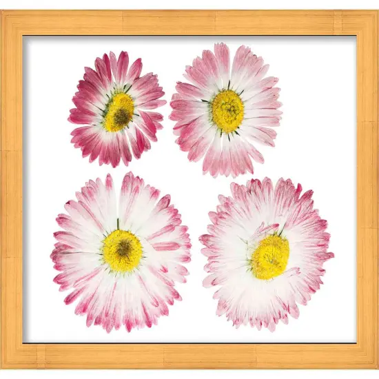 Panoramic Minimalist Shadow Box Gold Picture Frame - UV Acrylic, Backing, Hanging Hardware {6}