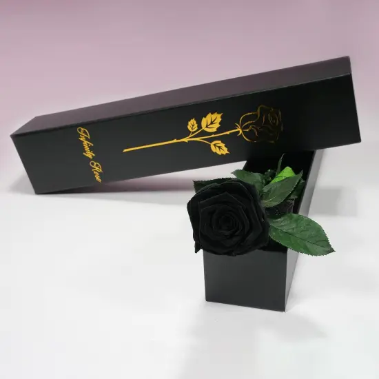 Preserved Flowers Rose Gifts(Black) {2}