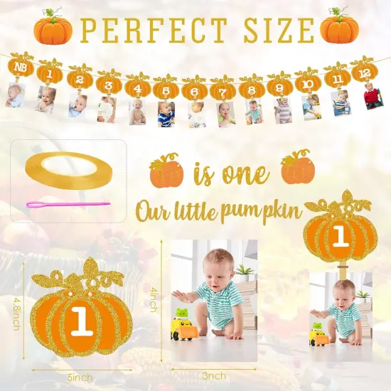 Fall Pumpkin 1st Birthday Photo Banner - Autumn Milestone Photograph Bunting {2}