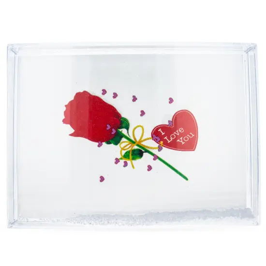 Rectangular Clear Acrylic Plastic Water Globe Picture Frame {3}