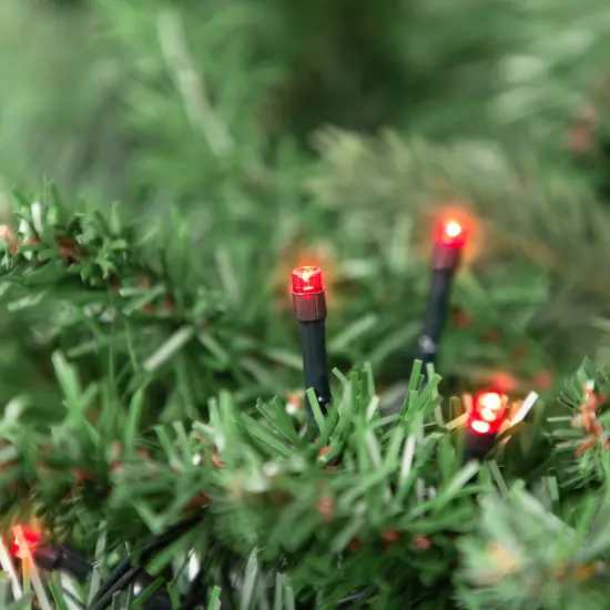 Northlight LED Wide Angle Christmas Lights - Red - 9.5' Green Wire - 20ct {3}