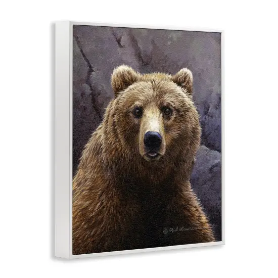 Stupell Industries Surprised Bear Portrait Framed Giclee Wall Art Design by Rod Lawrence {3}