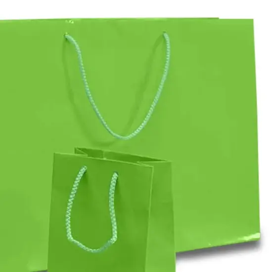 Elegant and Compact Gift Bags Glossy Totes 4 3/4'' x 2 3/4'' x 6 3/4'' Lime {4}