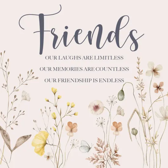 Friends: Our Laughs are Limitless, Our Memories are Countless, Our Friendship is Endless Hardcover Book {1}