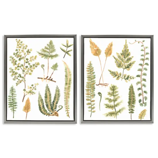Stupell Industries Watercolor Fern Leaves 2 pc Framed Floater Canvas Wall Art Set Design by June Erica Vess {1}