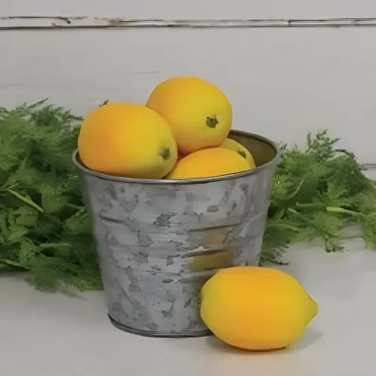 Plastic Lemon Bowl Fillers Set of 6 with White Mesh Net {3}