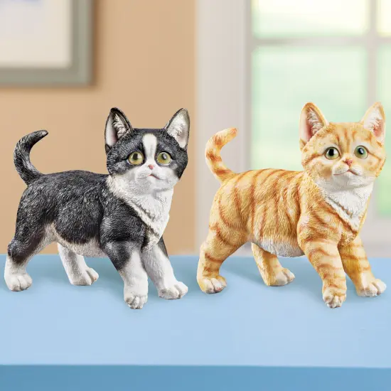 Collections Etc Cute Kitten {4}