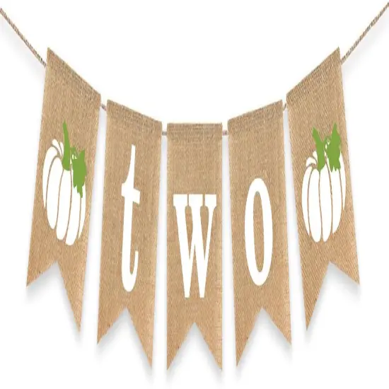 Two Pumpkin Banner 2nd Birthday Party Decoration Little Pumpkin {1}