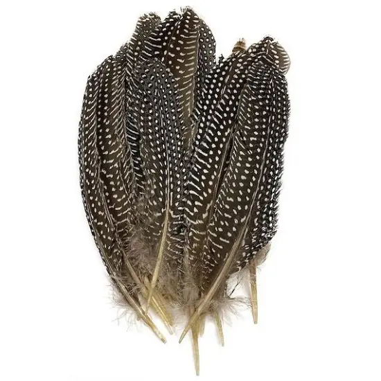 Zucker Guinea Hen Rounds 4"-8" 12/Pkg-4"-8" {3}