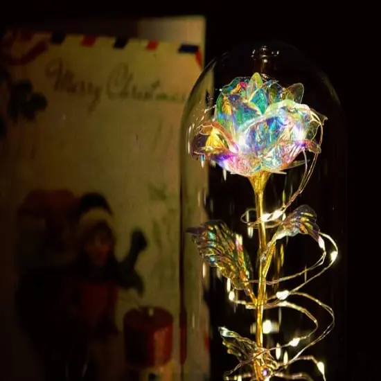 Light Up Rose in A Glass Birthday Gift for Woman Mothers Day Flowers Gift for Mom Rose Flower Gift for Her Anniversary Gift Preserved Flowers {2}