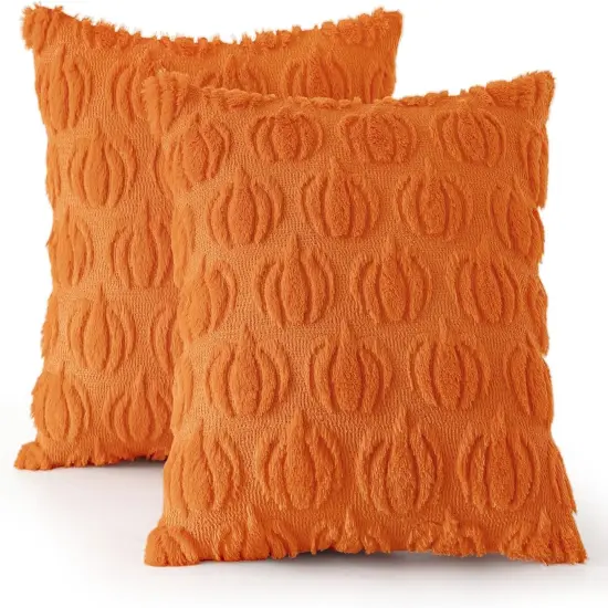 Set of 2 Pumpkin Halloween Thanksgiving Autumn Harvest,Pillow Covers 18x18 Inch {6}