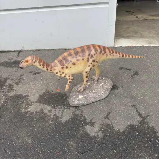 Iguanont Dinosaur Life Size Statue {4}