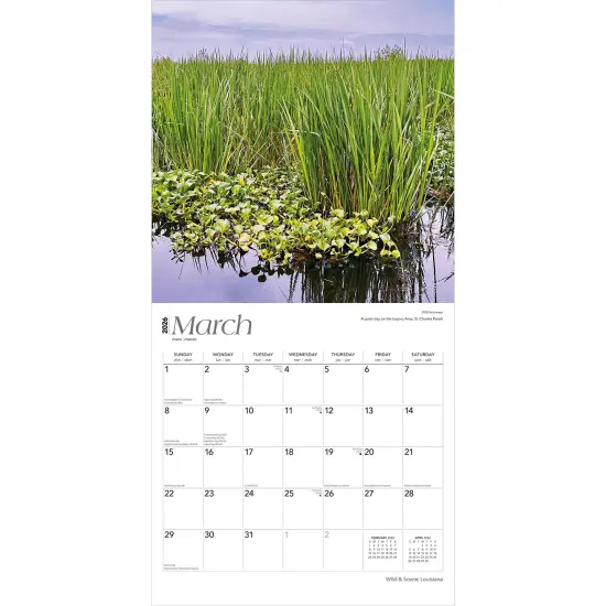 Louisiana Wild & Scenic | 2026 12 x 24 Inch (Hanging) Monthly Square Wall Calendar | Plastic-Free {3}