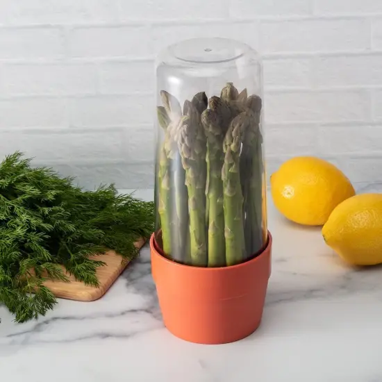Hutzler Herb Saver Storage Container - Keep Asparagus and Herbs Fresh Longer {4}