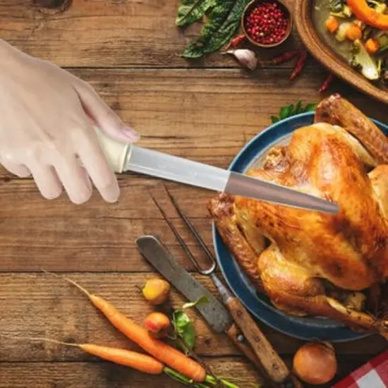 Handy Housewares Heat Resistant Squeeze Bulb 1oz Tube Meat & Poultry Turkey Baster {2}