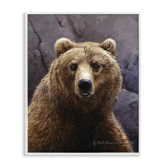 Stupell Industries Surprised Bear Portrait Framed Giclee Wall Art Design by Rod Lawrence {1}
