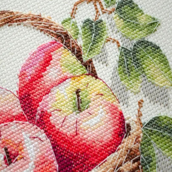 Counted Cross-stitch kit - Bulk apples {6}