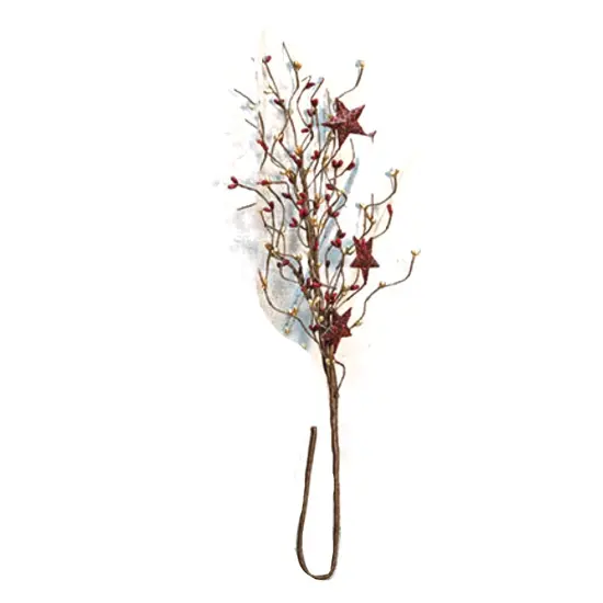 B&g Holiday Stars Pip Spray {1}