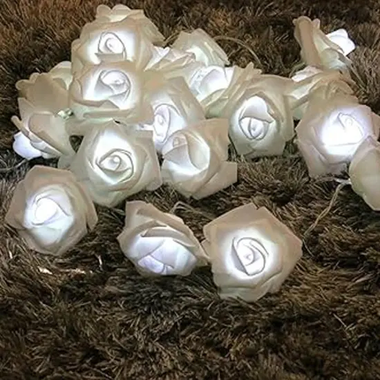 20 LED Soft White Rose String Lights Warm White Warm white {3}