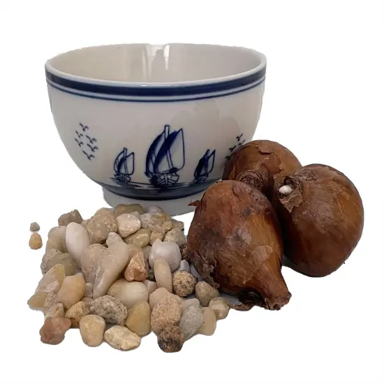 Delft Ceramic Bowl with Paperwhite Narcissus Bulbs Indoor Growing Kit - Fragrant {1}
