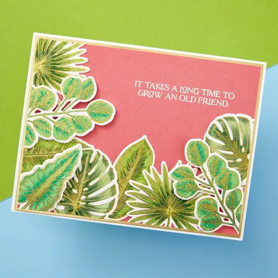 Spellbinders BetterPress Press Plate & Die Set-Tropical Leaves, Propagation Garden {5}