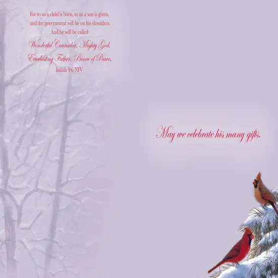 Large Boxed Christmas Card Assortment- Wonder and Joy - 24 cards and envelopes {5}