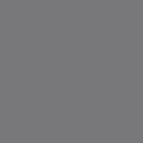 Pure Solid in Galactic Grey (pe-548) | Pure Solids | AGF Studio | Art Gallery {1}