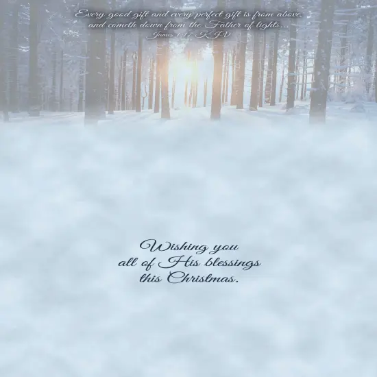 Boxed Christmas Cards-Beauty of the Season {4}