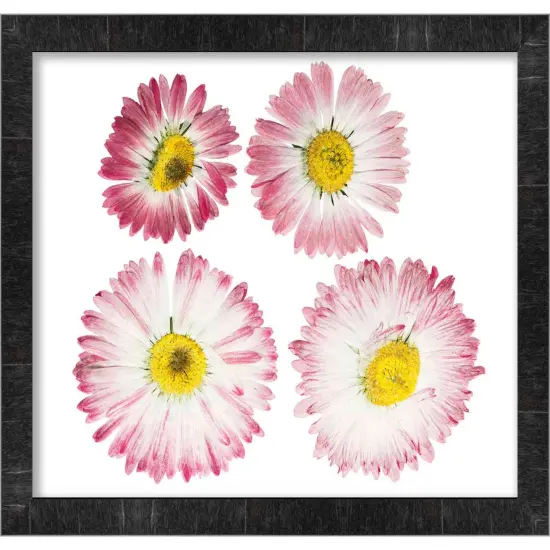 Panoramic Modern Shadow Box 1" Depth Black Frame - UV Acrylic, Backing, Hanging Hardware {6}