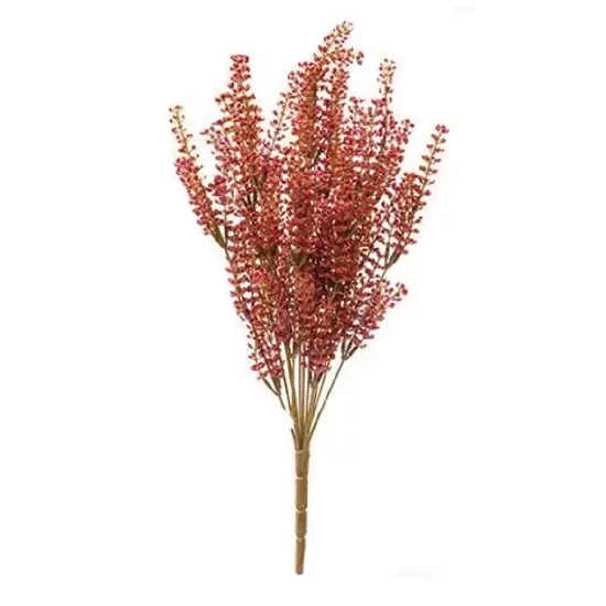 Bursting Astilbe Bush 21" Sangria {1}