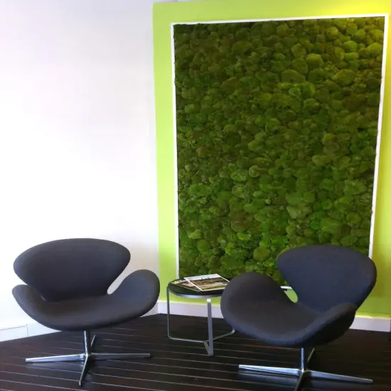 Mood Moss Preserved, Fresh Green, 4oz {2}