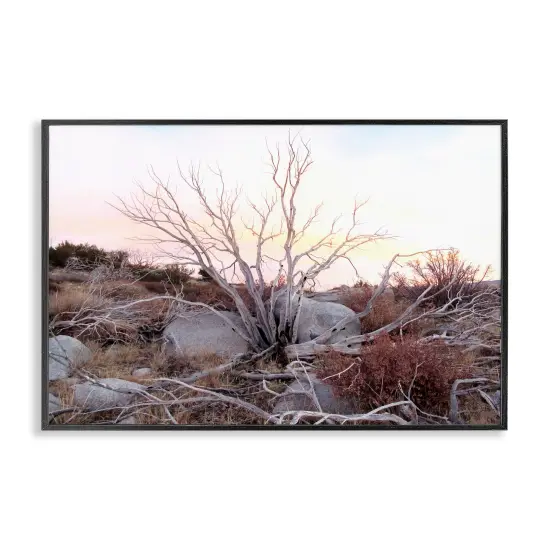 Stupell Industries Rocky Foothills Terrain Framed Giclee Design by Gemma Bardot {1}