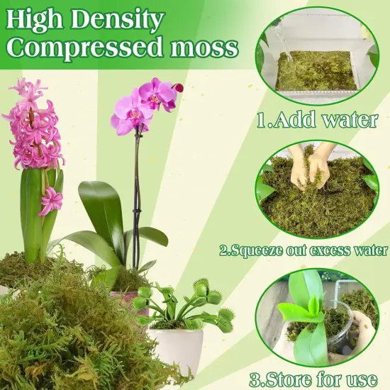 Green Moss for Indoor Plants, 8QT Orchid Moss for Repotting, Forest Moss for Potted Plants, Real Moss for Succulent Carnivorous Houseplant Terrariums Garden Reptiles {4}