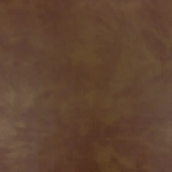 Richloom TONTINE LEATHER - Home D&eacute;cor Fabric Leather {3}