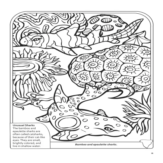 Sharks Coloring Book 3D-Softcover {6}