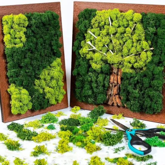 Moss Preserved 21.2 oz Green Preserved Reindeer Moss Bulk Artificial Decorative DIY Kit for Craft Wall Decor Fairy Gardens Terrariums Art Project Table Floral Decor {3}