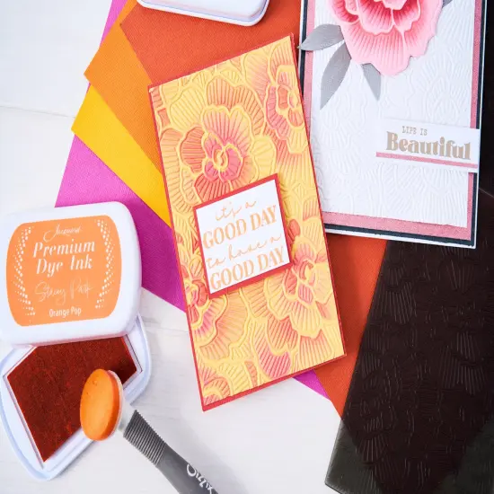 Sizzix 3D Textured Impressions Emboss Folder By Stacey Park-Sunday In The Park, Cosmopolitan {6}