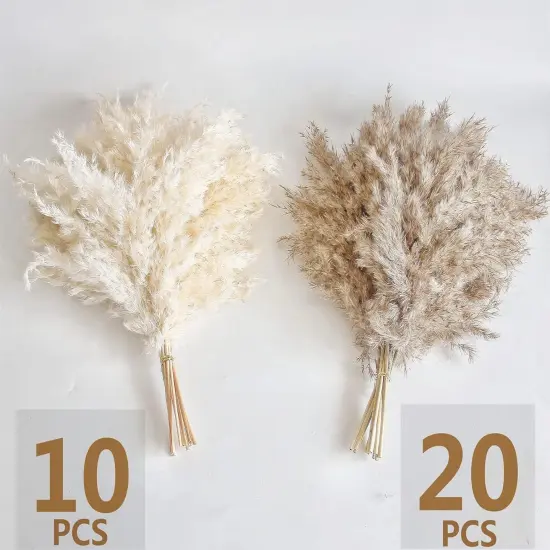 30 PCS Boho Decor, Fluffy Pompas Grass, Natural Dry Pampas Grass Small, Short Pampass Bulk for Boho Room Decor {2}