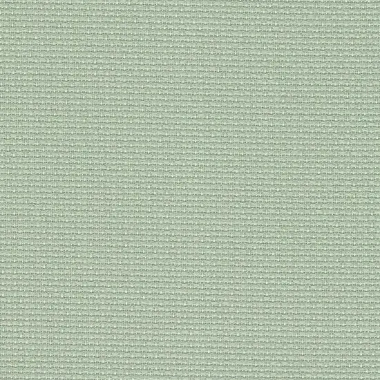 Precut Zweigart Stern-Aida 14 count Light Green {3}