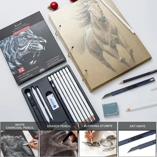 White Charcoal Pencils Set - 12 Piece White Colored Pencils for Drawing, Sketching, Shading, Blending, White Chalk Pencils for Kid, Beginners & Pro Artists {3}