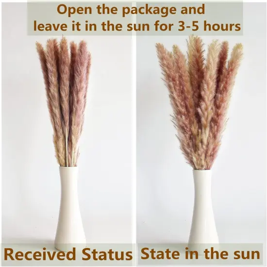 Boho Pampas Grass Decor, Naturally Dried Pompas, Bunny Tails Dried Flowers, and dried eucalyptus. Perfect for Weddings {5}