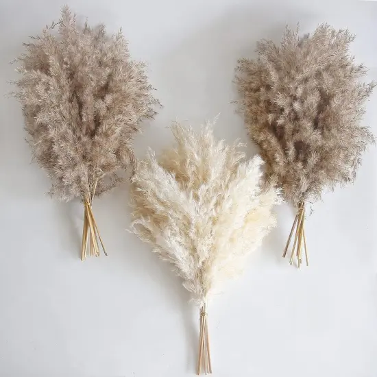 30 PCS Boho Decor, Fluffy Pompas Grass, Natural Dry Pampas Grass Small, Short Pampass Bulk for Boho Room Decor {1}