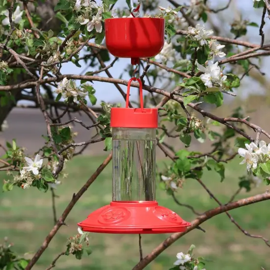 Nectar Protector Junior - Bird Feeder Protection {3}