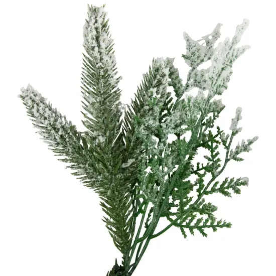 Northlight Real Touch&trade;️ Flocked Wind River Fir with Berries Artificial Christmas Wreath - 24" - Unlit Green {7}