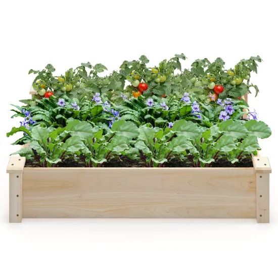 Natural Fir Wood Garden Planter Bed with Open Bottom and Large Growing Space {4}